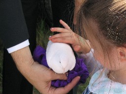 Birthday girl petting Archie the Dove